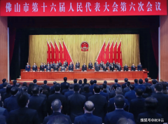 <b><b>又一利好！佛山工做演讲沉磅信号→</b></b>